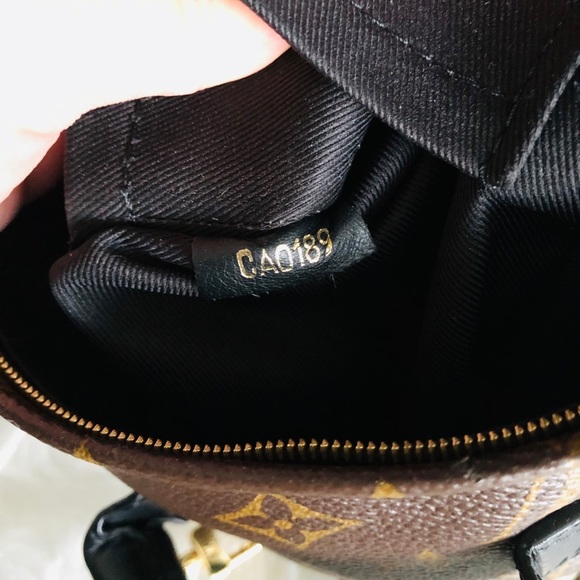 ‼️sold‼️Louis Vuitton Palm Springs Mini Monogram - Picture 10 of 12